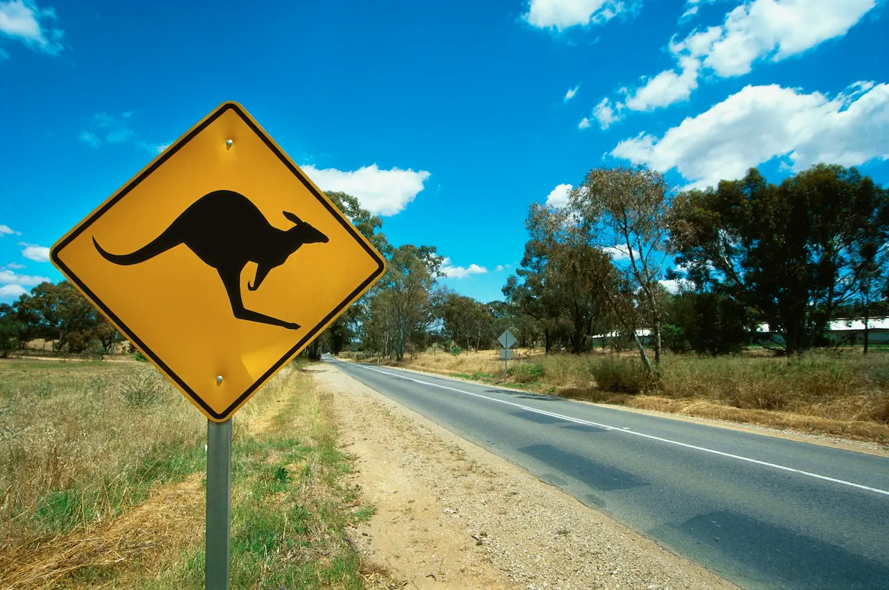 Budget-friendly Travel in NSW