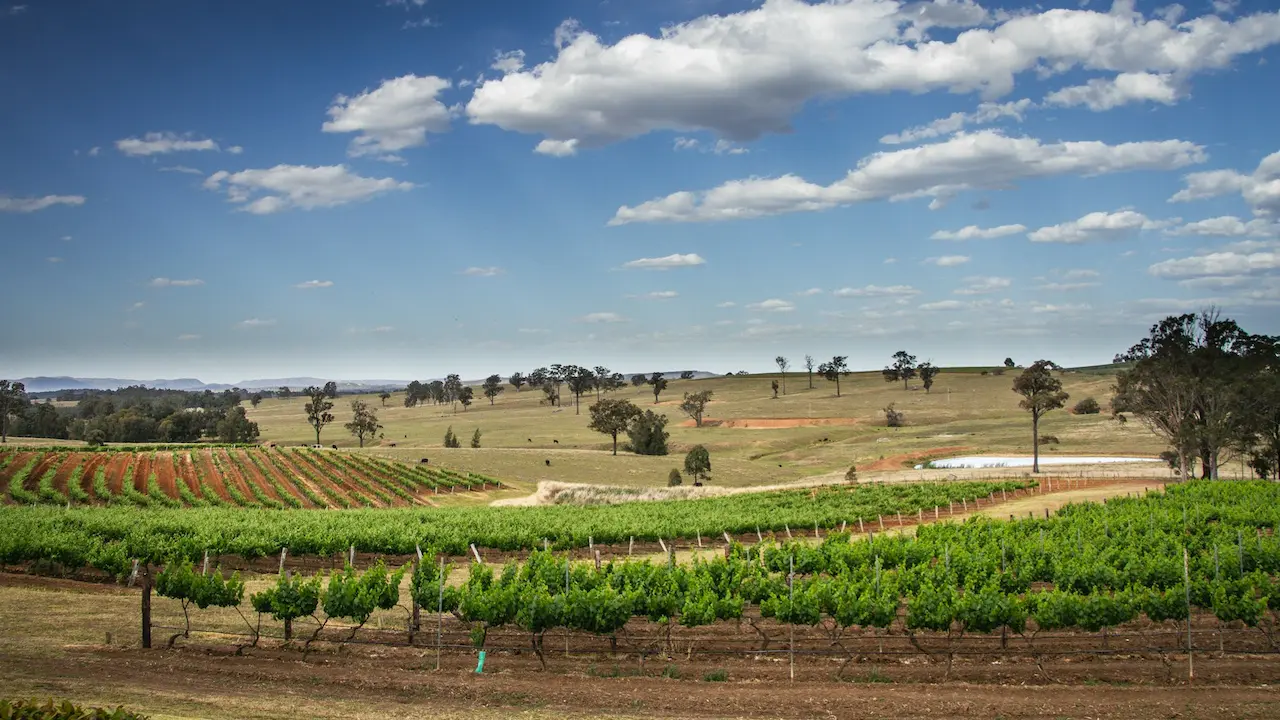 Hunter Valley Attractions
