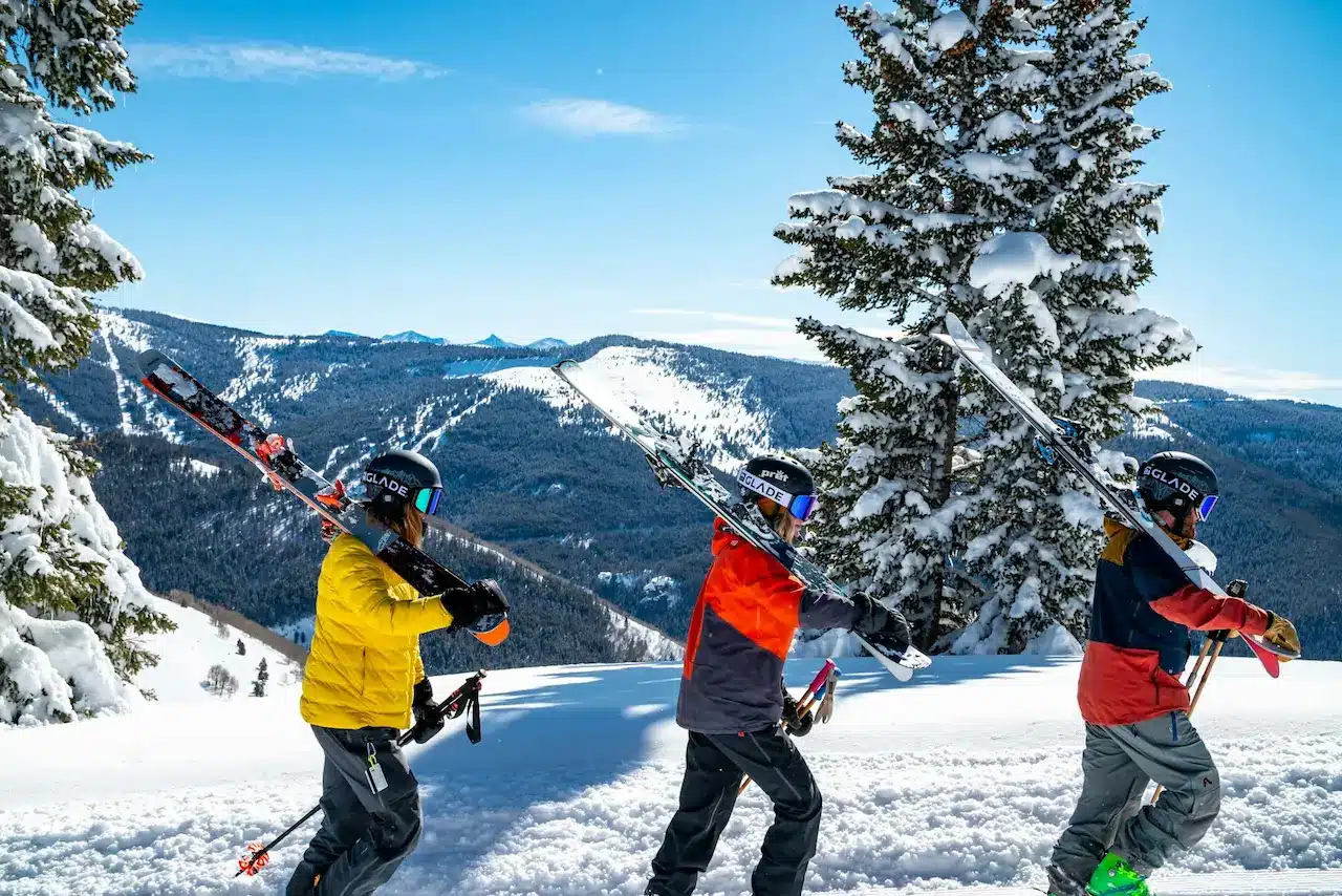 Tours & Rentals