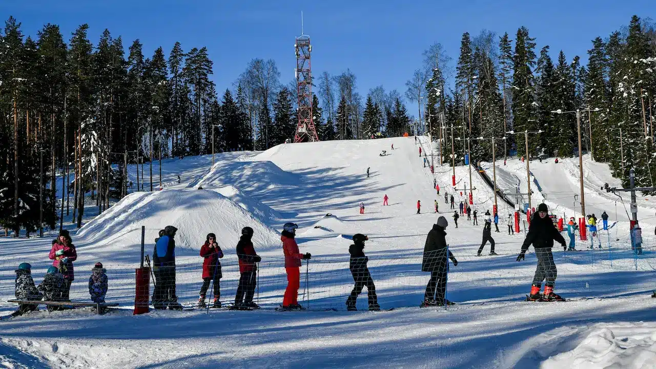 Tours & Rentals